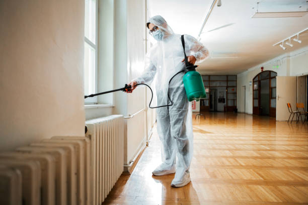 Best Emergency Pest Control  in Minster, OH